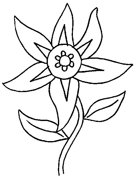 Plansa de colorat cu Flori 24 17